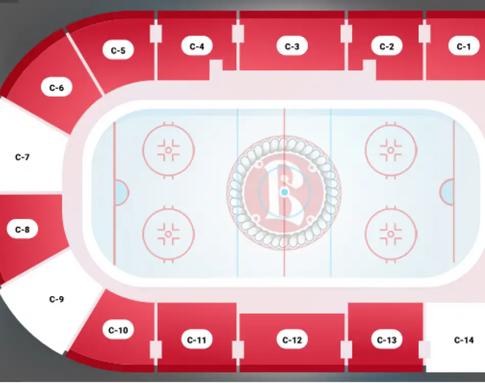 Ска арена билеты. Ледовый дворец Витязь в Подольске схема. Хк Витязь Подольск Ледовый дворец. Ледовый дворец Витязь Подольск схема зала. Хк Витязь схема арены.